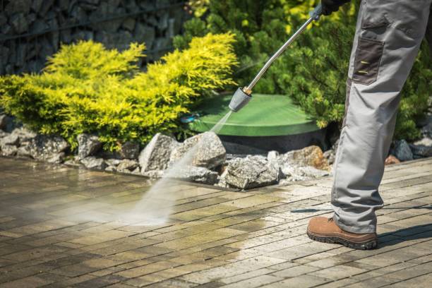 Best Animal Enclosure Cleaning  in English Creek, NJ