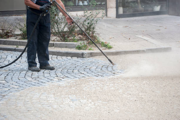 Best Driveway Pressure Washing  in English Creek, NJ